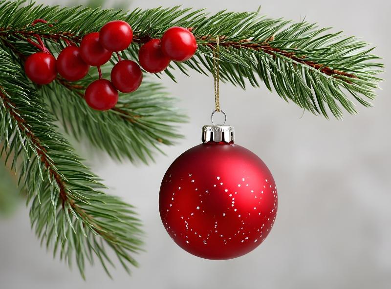 an ornament hanging from a tree