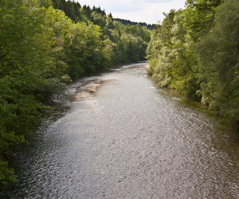 flowing river